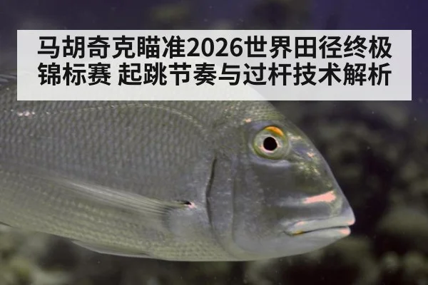马胡奇克瞄准2026世界田径终极锦标赛 起跳节奏与过杆技术解析 - 9game app