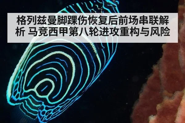 格列兹曼脚踝伤恢复后前场串联解析 马竞西甲第八轮进攻重构与风险